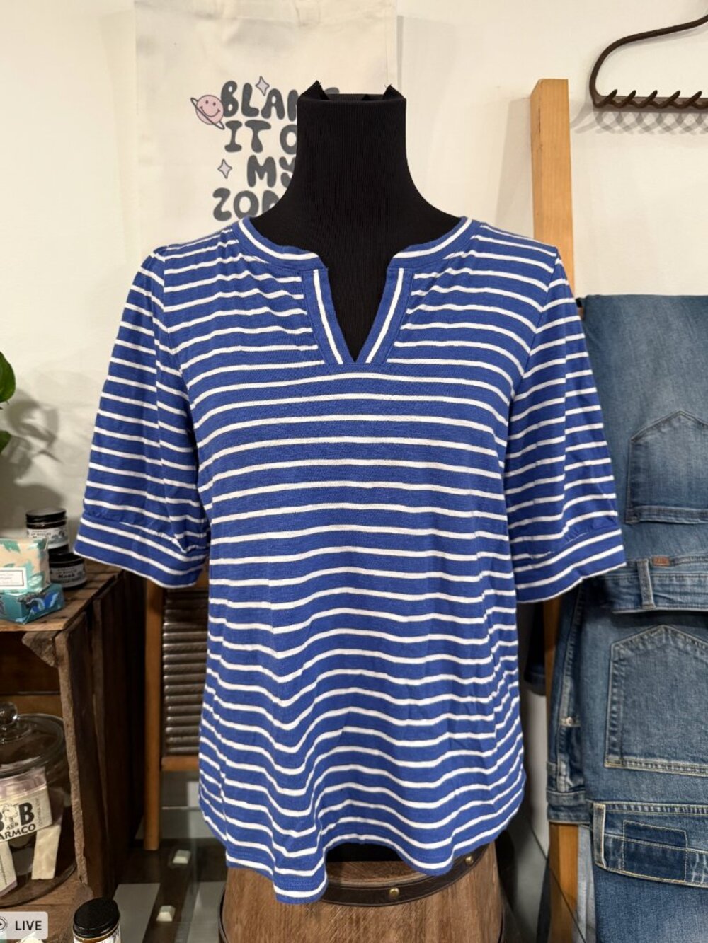 TALBOTS Short Sleeve Blue/White Striped Knit Shirt (MD)